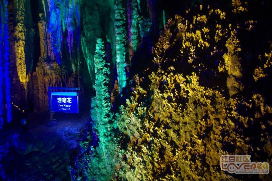中国石油内蒙古自治区首座“油氢电”综合能源站在伊金霍洛旗投运