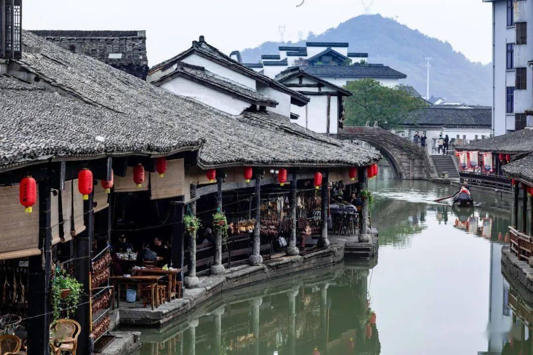 漂亮鹦鹉救援