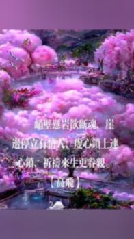 盘子用英英语怎么读？游戏画面